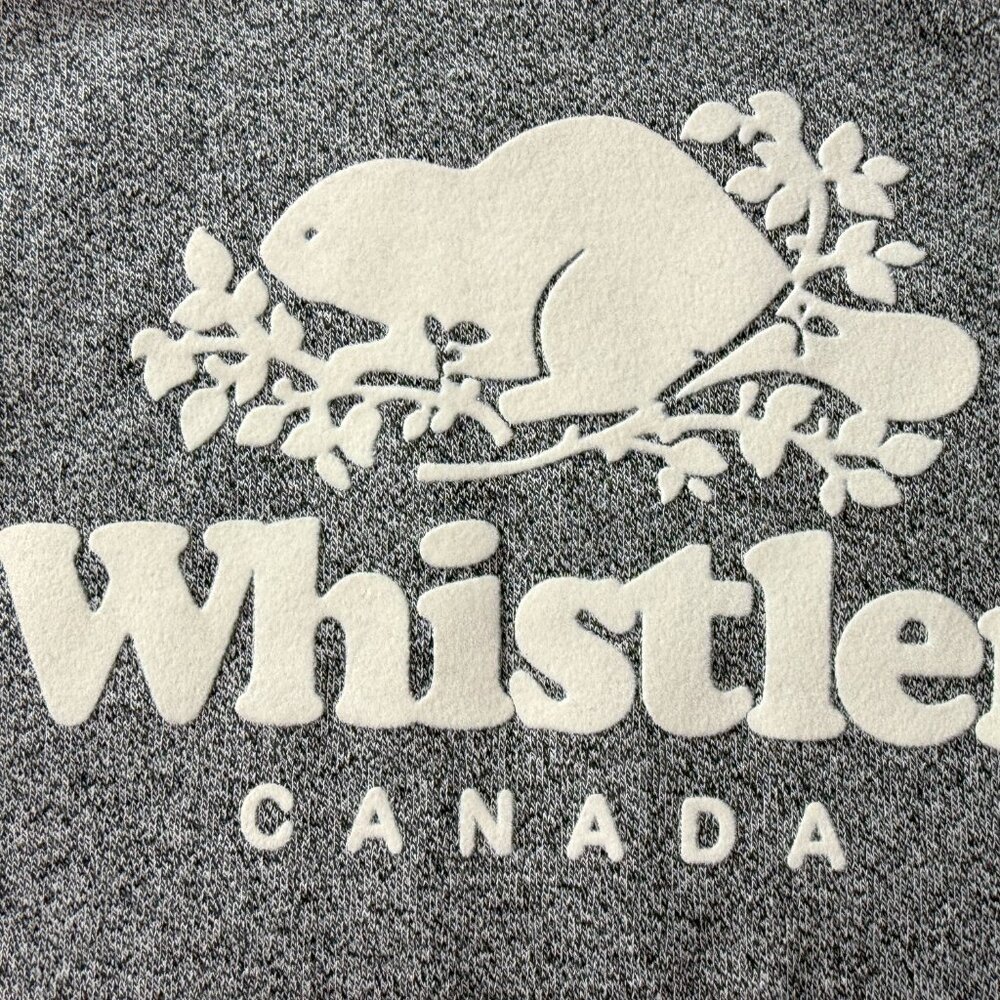 NEW ROOTS Whistler Kanga Hoody Hooded Pullover Sweatshirt Heathered Gray Small - Picture 4 of 10